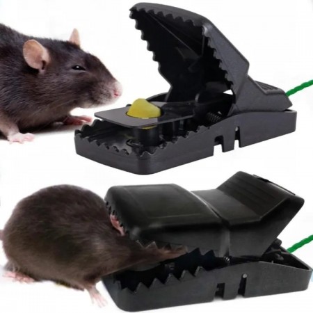Mouse Trap 2 পিস